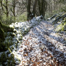 Exmoor Pathway